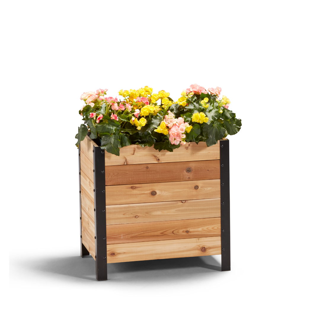 18" x 24" Small Cedar Planter Box | 24" Tall