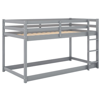 Floor bunk bed with ladder in gray metal frame, guard rails, slatted base HouseOfZazla on Tampa Home & Garden Store