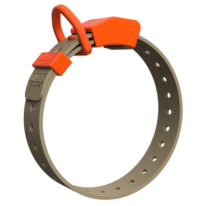 FIELD COLLAR by Hoss Straps, orange buckle and tan hunting dog collar on Tampa Home & Garden Store
