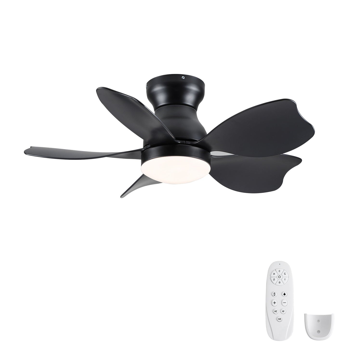 Low Profile Flush Mount Ceiling Fan With Light by HouseOfZazla, black finish, 5 blades on Tampa Home & Garden Store