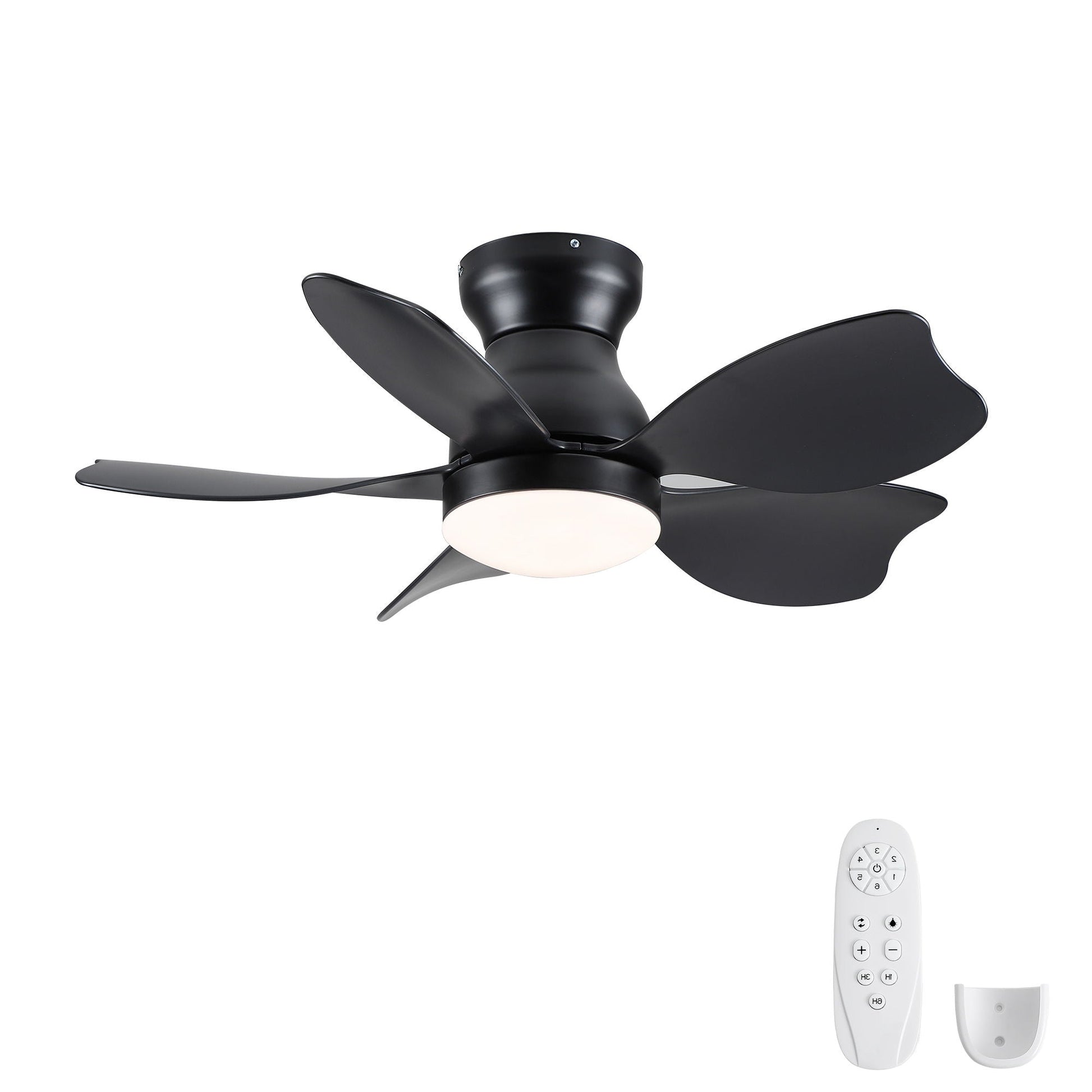 Low Profile Flush Mount Ceiling Fan With Light by HouseOfZazla, black finish, 5 blades on Tampa Home & Garden Store
