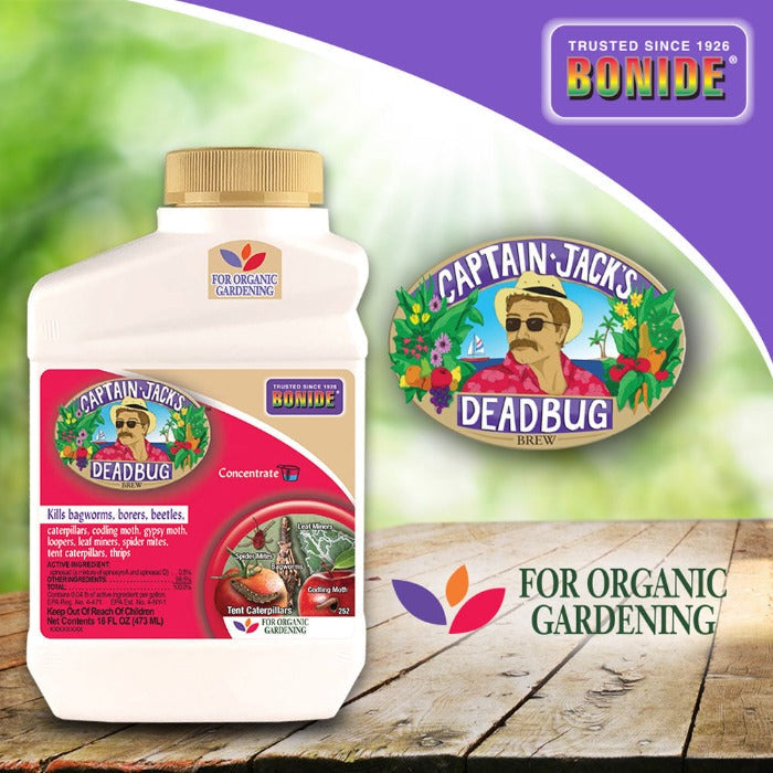 Captain Jack's Dead Bug Brew concentrate bottle with Bonide branding organic gardening pesticide on Tampa Home & Garden Store
