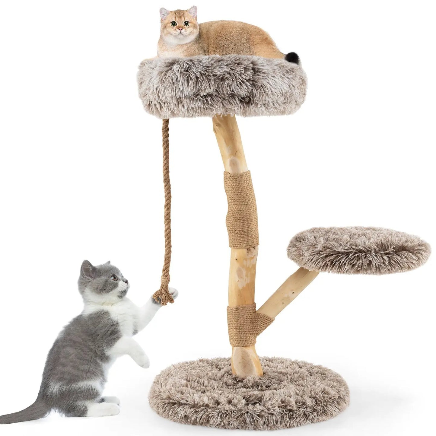 Modern Wooden Cat Tree With Perch and Jute Posts
