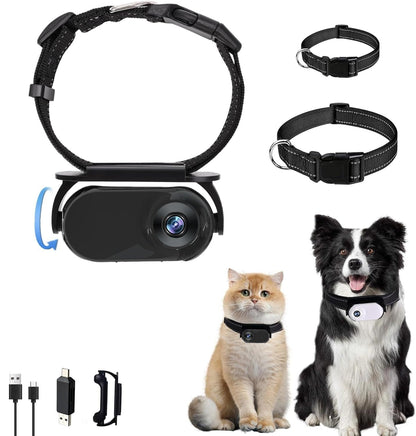 Pet Recorder HD Mini Camera Magnetic Suction collar camera with black strap and USB kit on Tampa Home & Garden Store