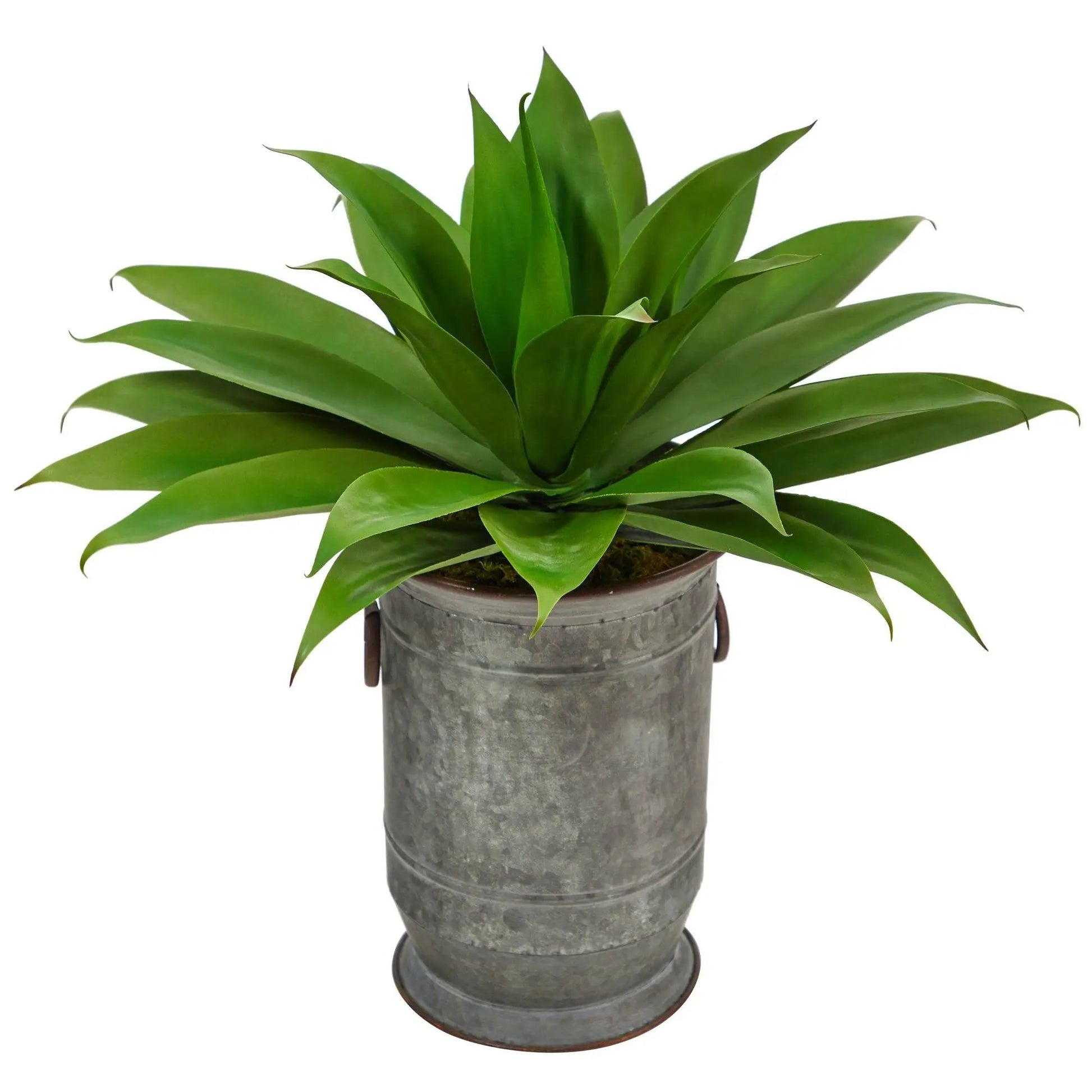 26” Agave Succulent Artificial Plant in Vintage Metal Planter - Tampa Home & Garden Store