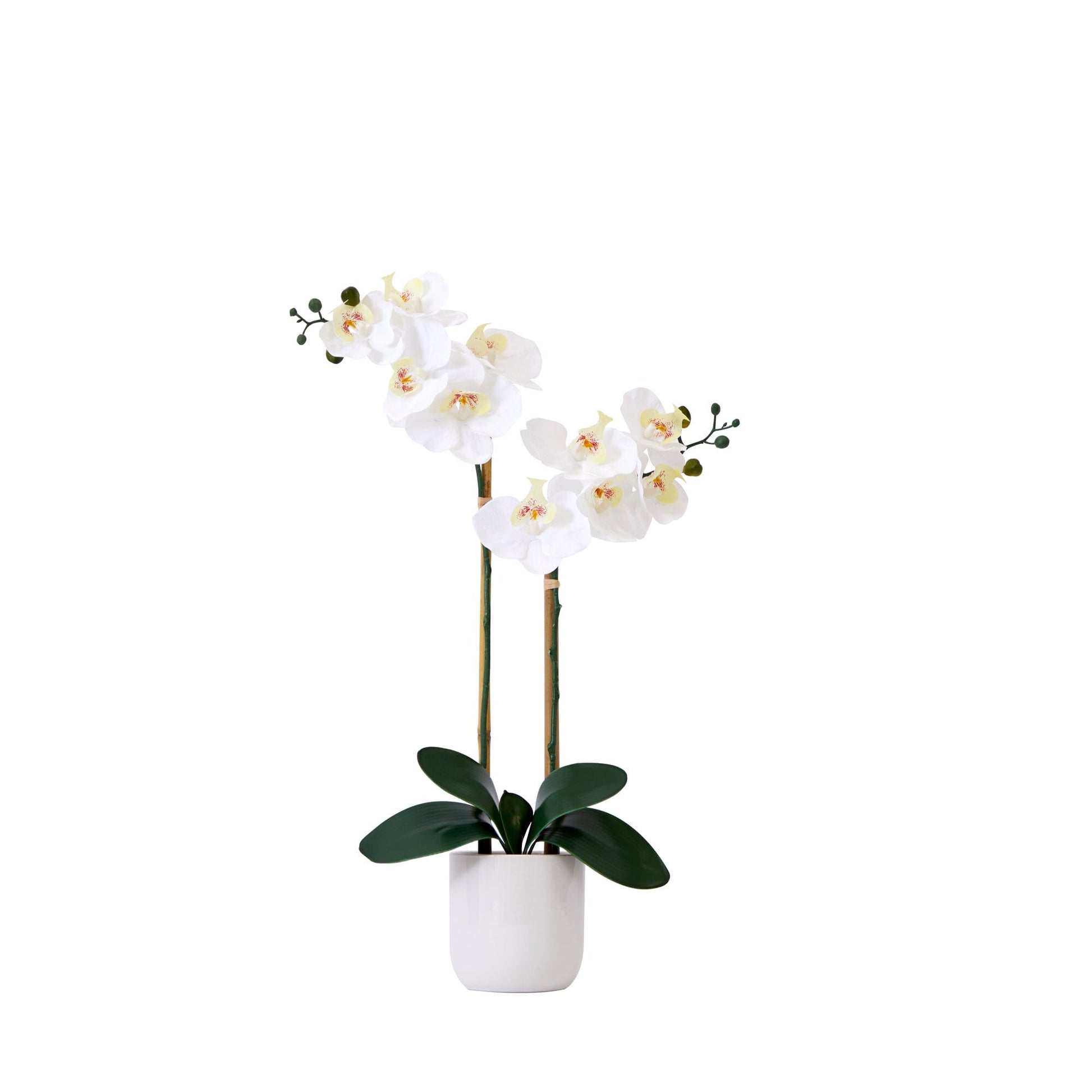 26” Artificial Real to Touch Double Orchid Phalaenopsis with Decorative Vase - Tampa Home & Garden Store