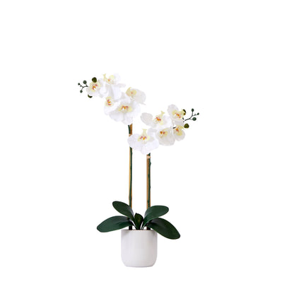 26” Artificial Real to Touch Double Orchid Phalaenopsis with Decorative Vase - Tampa Home & Garden Store