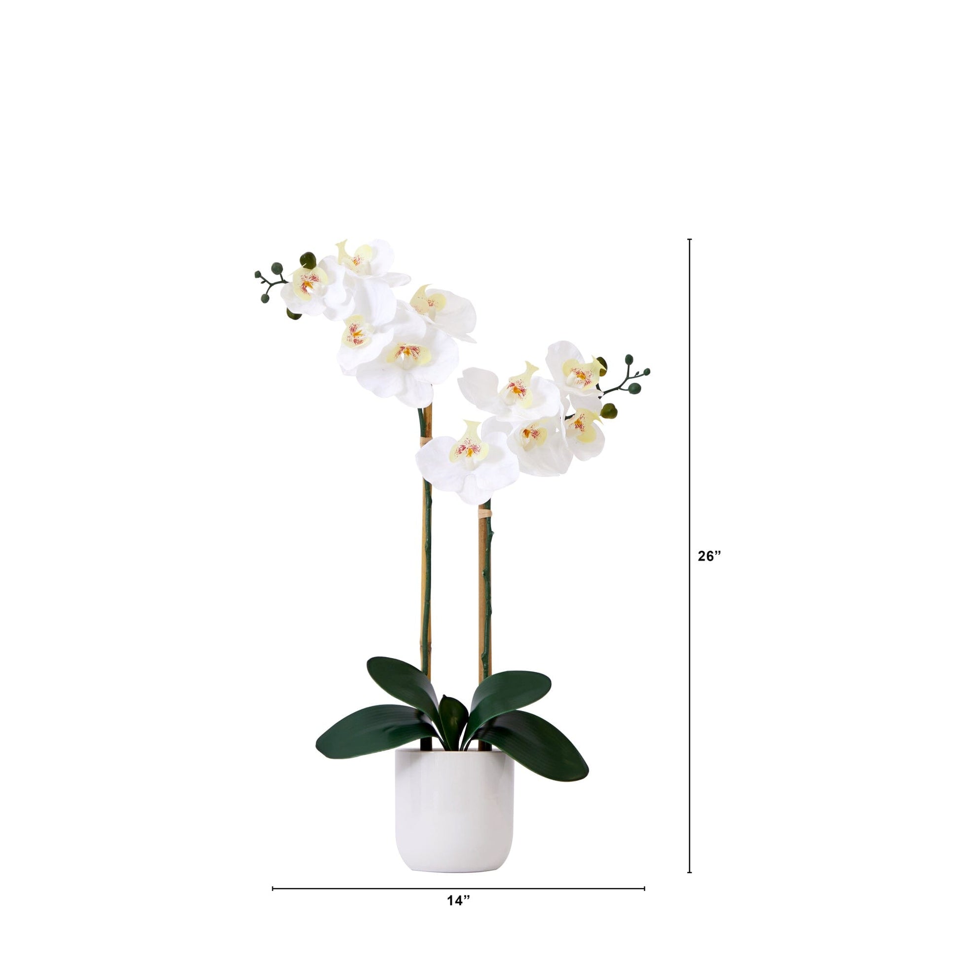 26” Artificial Real to Touch Double Orchid Phalaenopsis with Decorative Vase - Tampa Home & Garden Store