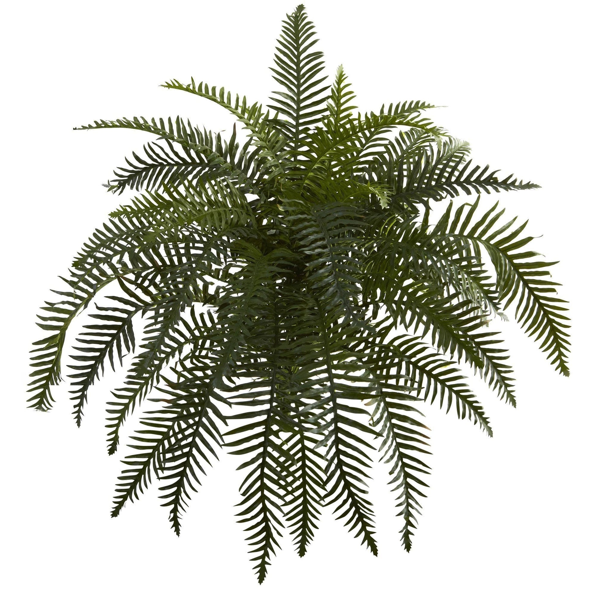 26” River Fern Artificial Plant (Set of 2) - Tampa Home & Garden Store