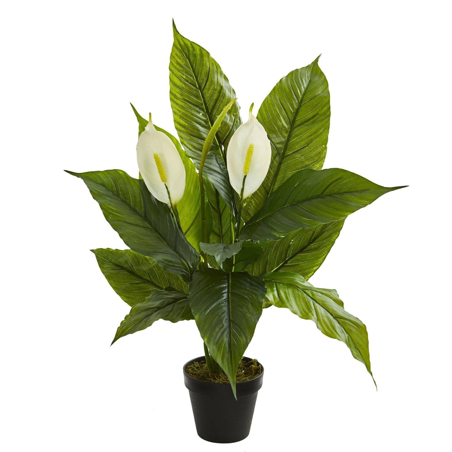 26” Spathiphyllum  Artificial Plant (Real Touch) - Tampa Home & Garden Store