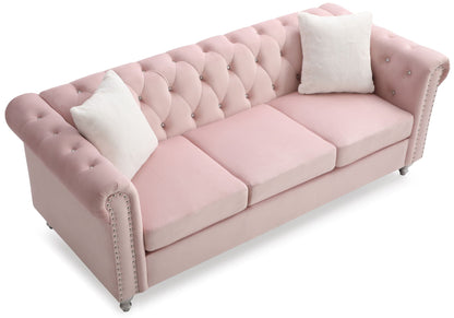 the Raisa Tufted Sofa and Nailhead Accents