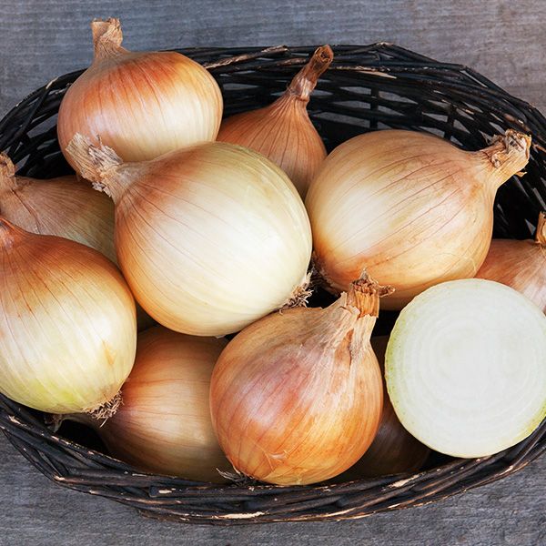 Ailsa Craig onion bulbs in a wicker basket with golden-brown skins Seedtime Store on Tampa Home & Garden Store