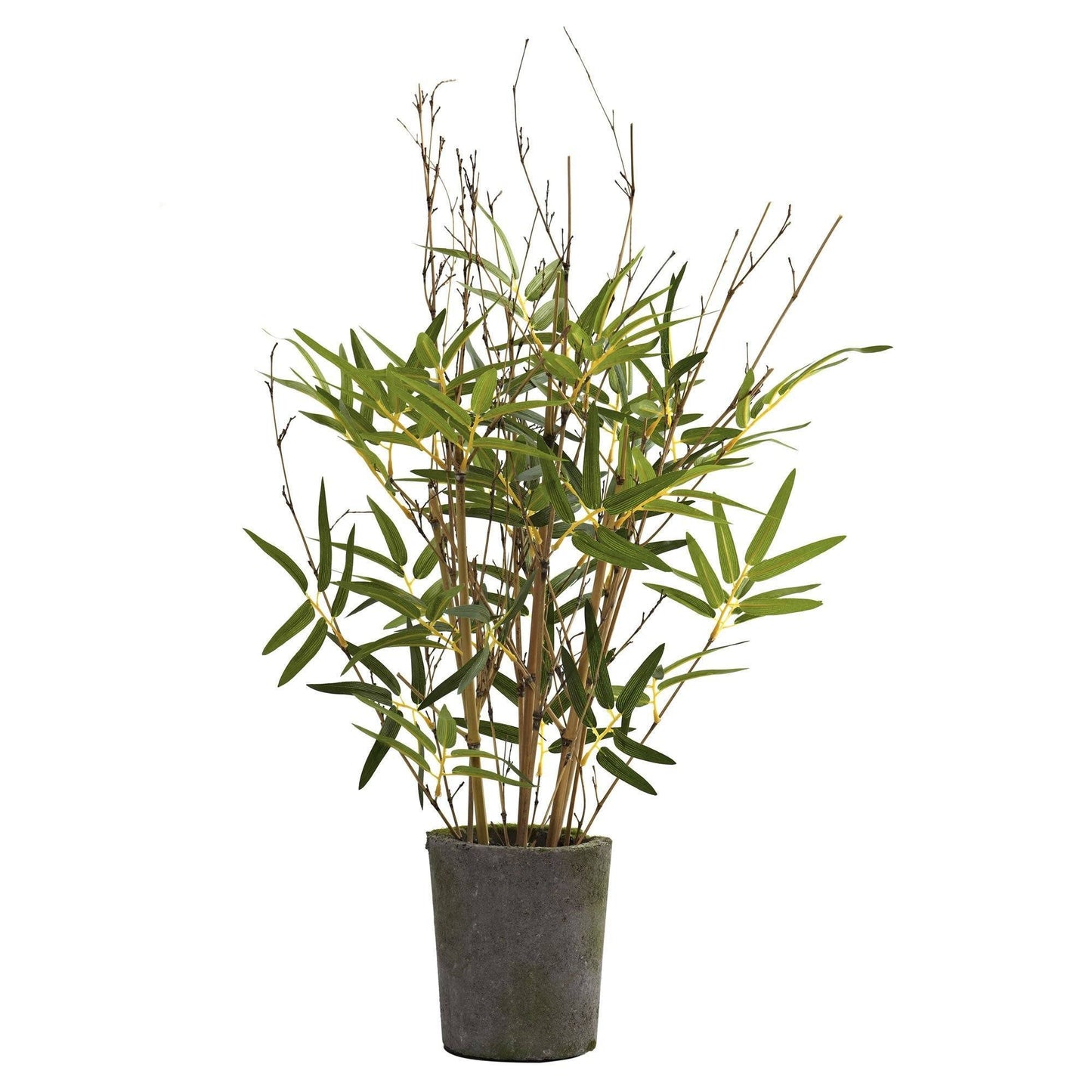27” Bamboo Tree w/Cement Pot - Tampa Home & Garden Store