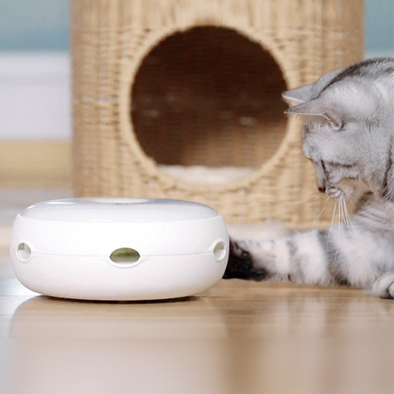 Electric cat toy donut turntable in white plastic with cat nearby on Tampa Home & Garden Store