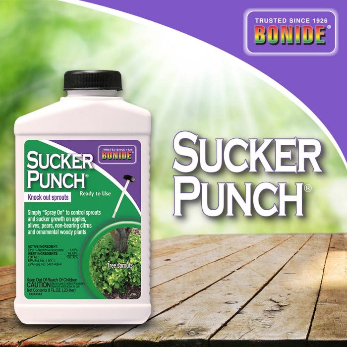 Bonide Sucker Punch Ready To Use liquid herbicide bottle with purple label on white container on Tampa Home & Garden Store
