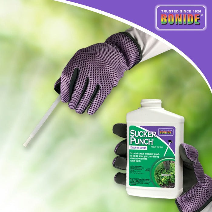 Bonide Sucker Punch ready-to-use liquid herbicide bottle with green label held by purple-gloved hand on Tampa Home & Garden Store