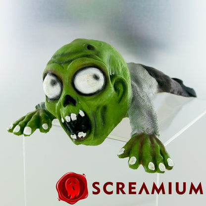 Shoulder Buddy Zombie by SCREAMIUM, green head with bulging white eyes and exposed teeth on Tampa Home & Garden Store