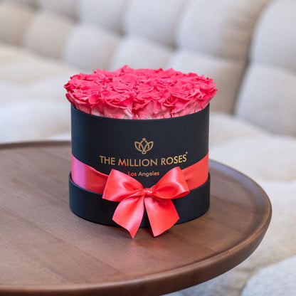Classic Black Box Coral Roses The Million Roses black cylinder box with coral bow on Tampa Home & Garden Store