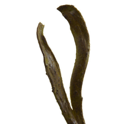 28’’ Artificial Branch (Set of 12) - Tampa Home & Garden Store