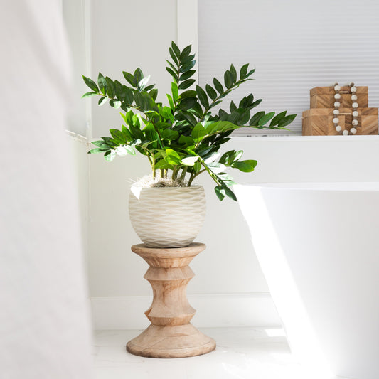 Plante artificielle de Zamioculcas de 28 po