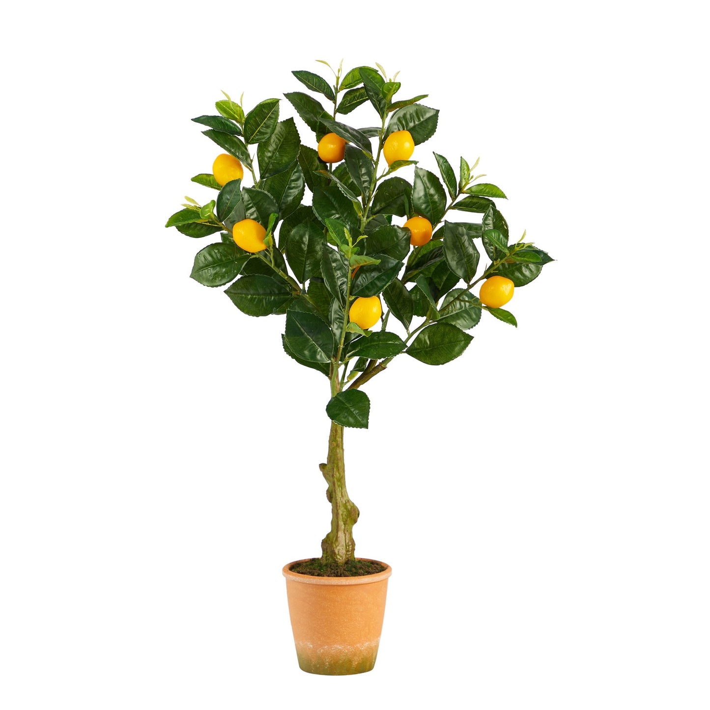 28” Lemon Artificial Tree in Decorative Planter - Tampa Home & Garden Store