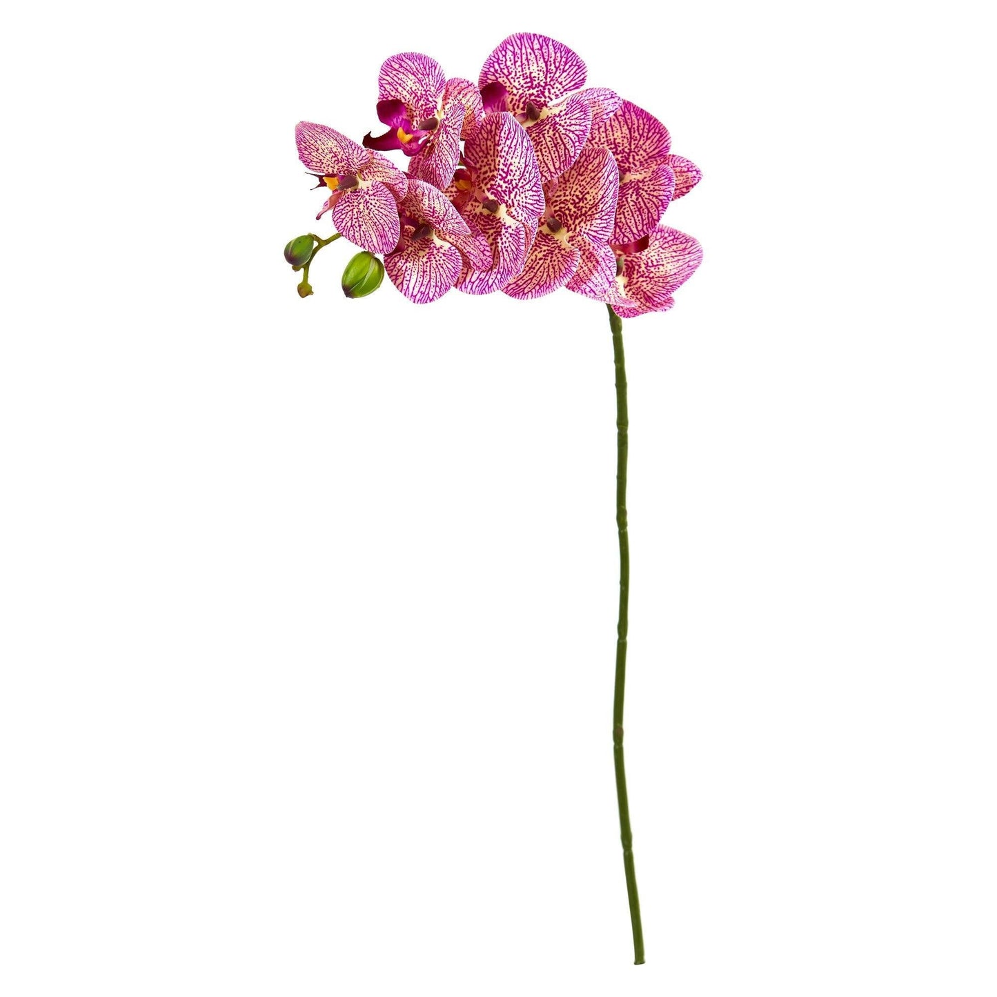 28” Orchid Phalaenopsis Artificial Flower Stem (Set of 6) - Tampa Home & Garden Store