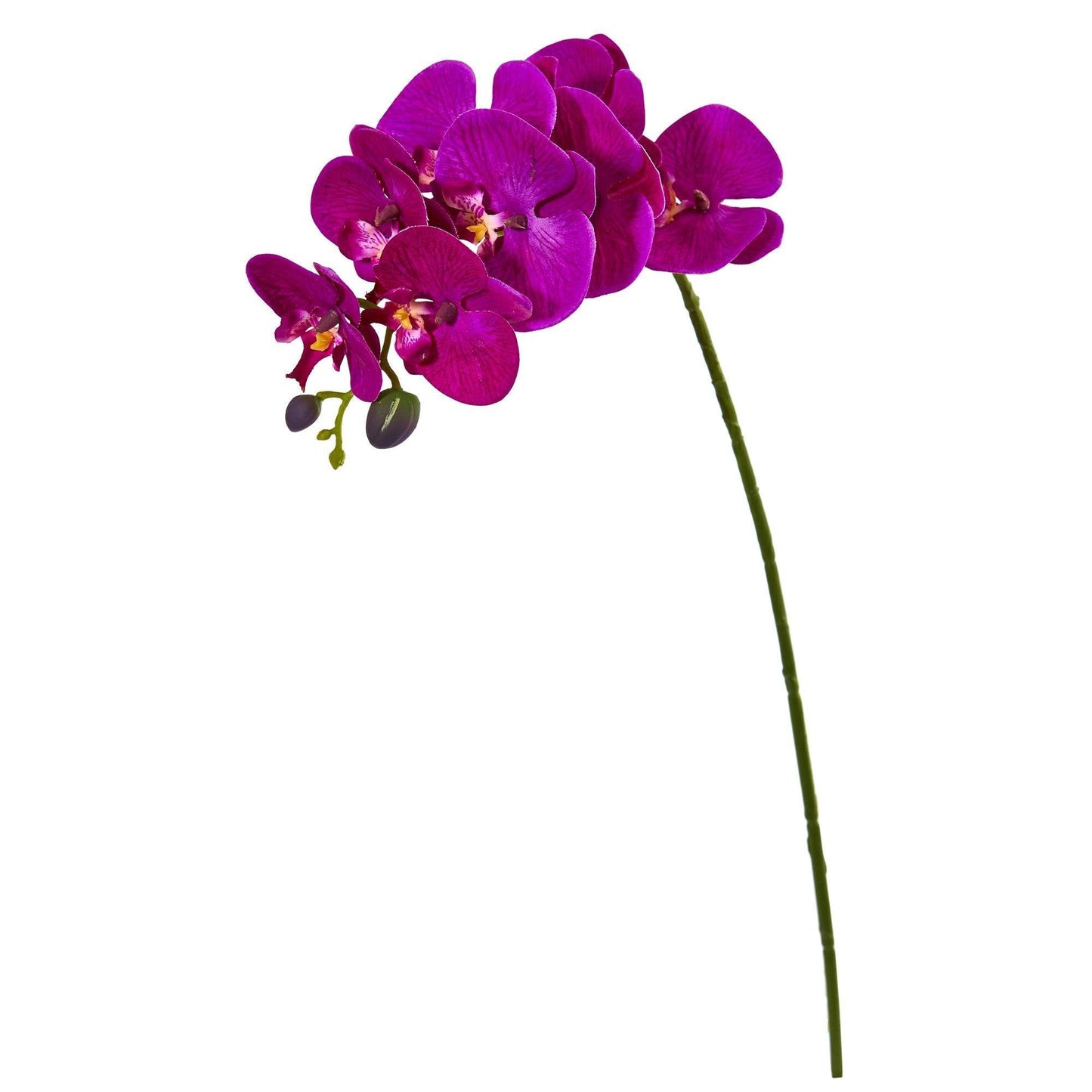 28” Orchid Phalaenopsis Artificial Flower Stem (Set of 6) - Tampa Home & Garden Store