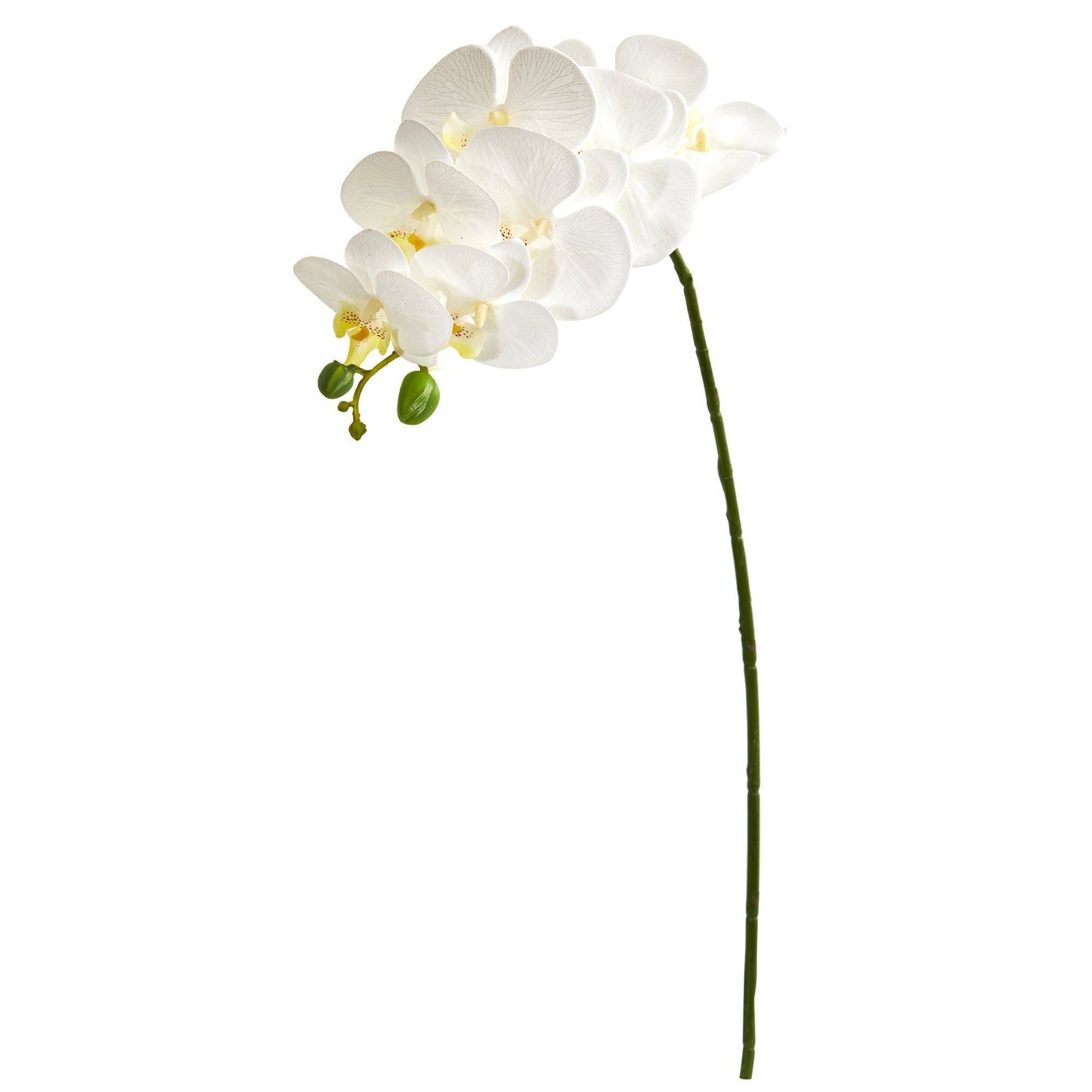 28” Orchid Phalaenopsis Artificial Flower Stem (Set of 6) - Tampa Home & Garden Store