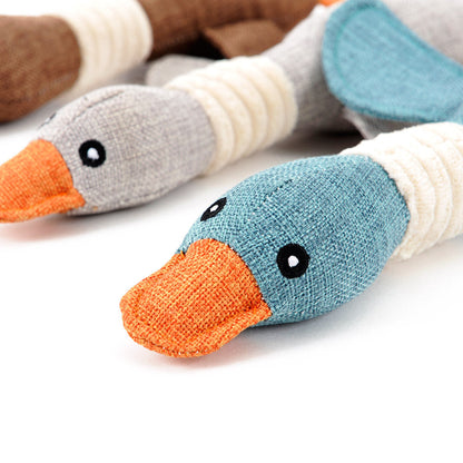 Dayan plush dog toys, blue and gray duck heads with orange beaks, 2-pack on Tampa Home & Garden Store