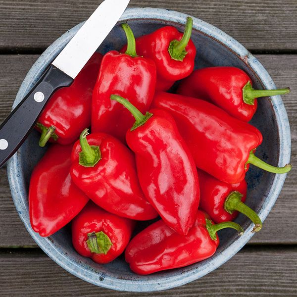 HMS Red Picnic Pepper peppers in a blue ceramic bowl with a knife on a wooden surface on Tampa Home & Garden Store