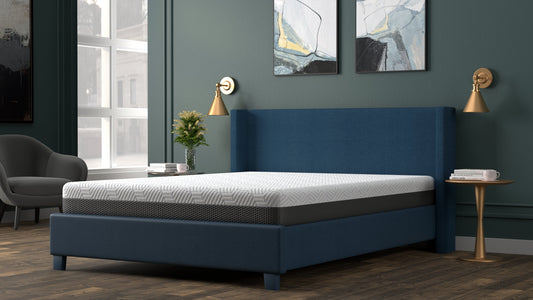 Omne Fria 8 Inch Queen Firm Mattress with Cooling Cover by HouseOfZazla on blue upholstered bed on Tampa Home & Garden Store