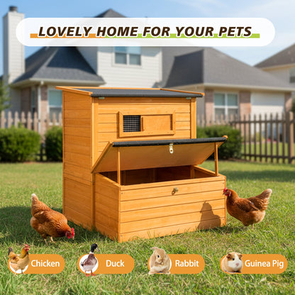 Double-House chicken coop for 6–8 chickens in orange wood with black roof HouseOfZazla Store on Tampa Home & Garden Store