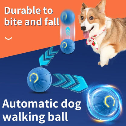 Smart blue LED dog toy ball by Sell My Stuff; USB rechargeable moving ball for puppies on Tampa Home & Garden Store