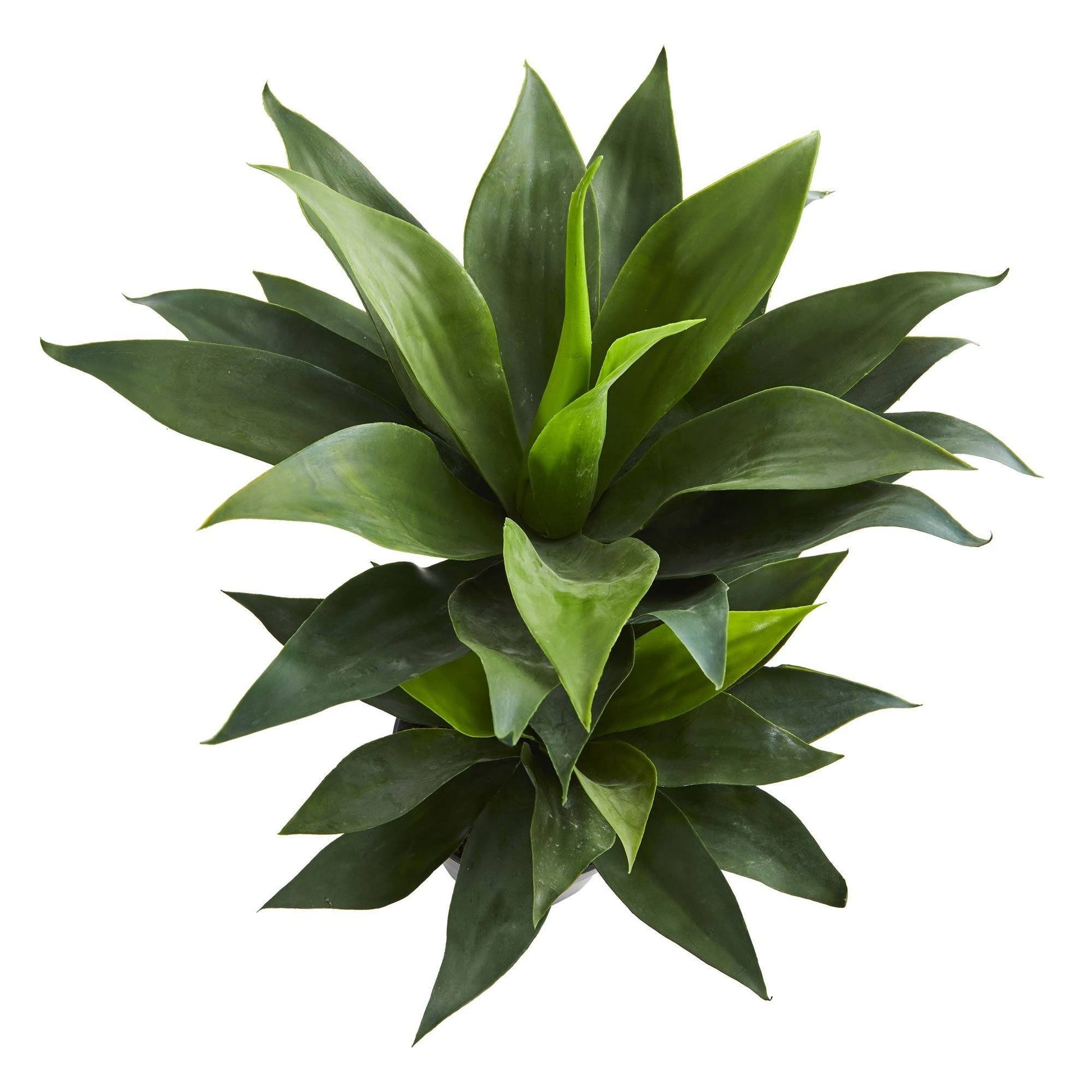 29” Double Agave Succulent Artificial Plant - Tampa Home & Garden Store