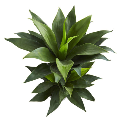 29” Double Agave Succulent Artificial Plant - Tampa Home & Garden Store