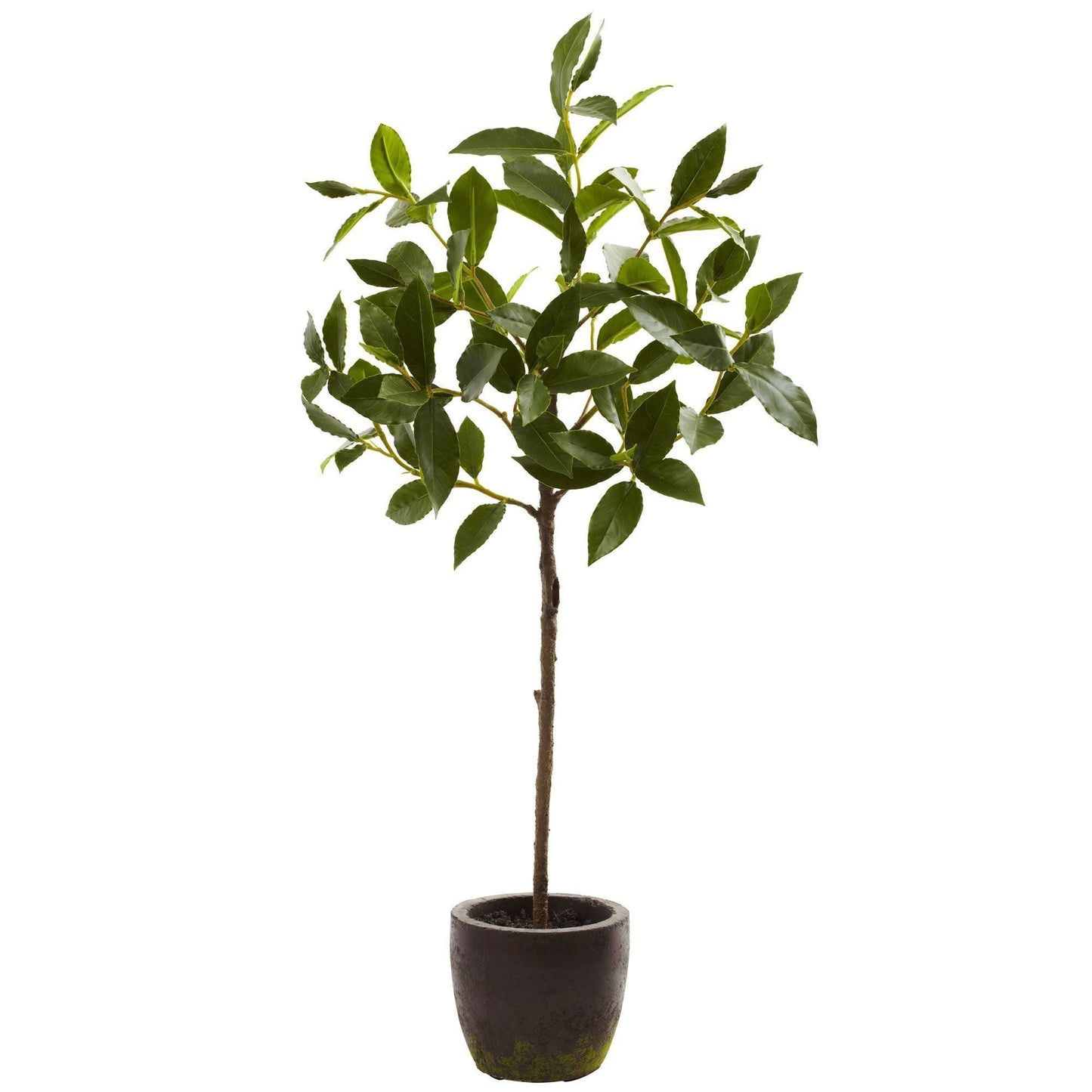 29'' Topiary w/Decorative Planter - Tampa Home & Garden Store