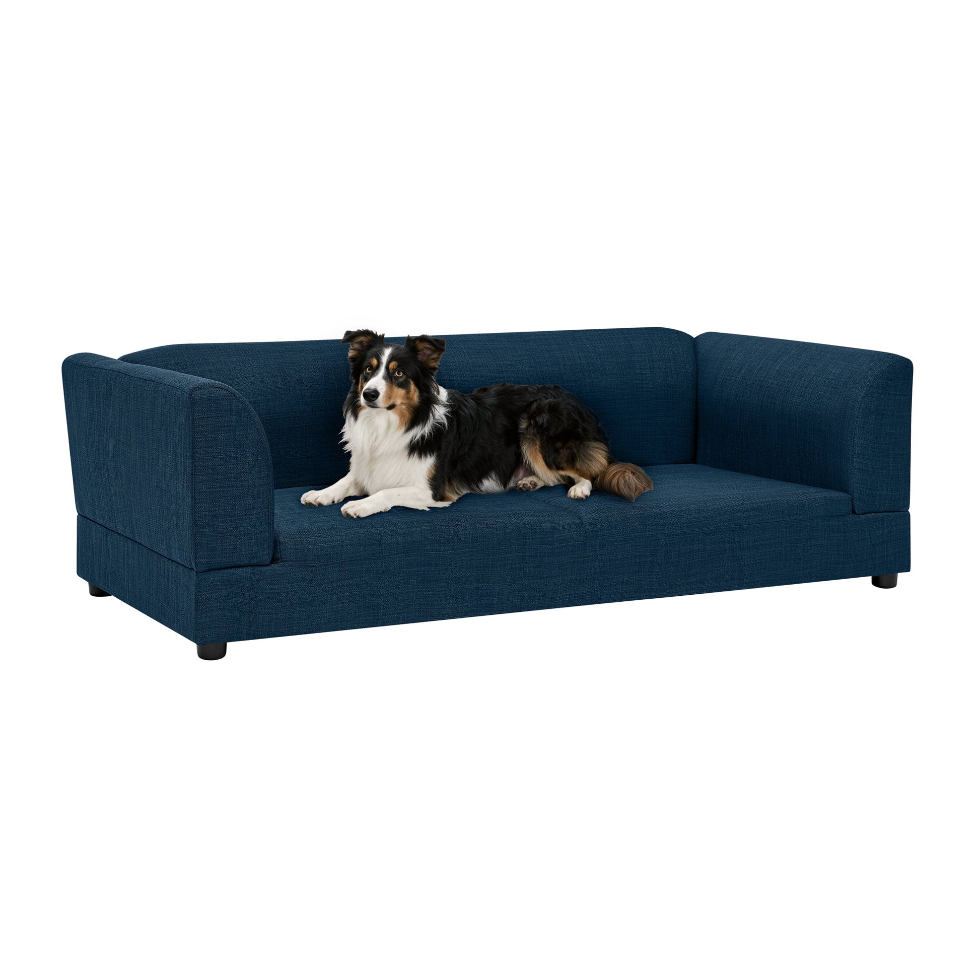 Comfortable Oversized Pet Sofa for Medium and Large Dogs in blue upholstery with a relaxed dog on Tampa Home & Garden Store