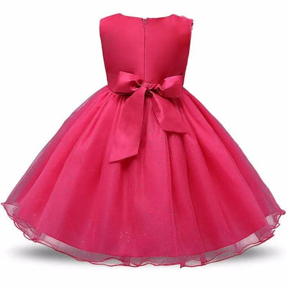 Princess Flower Girl Dress Summer Tutu and Party