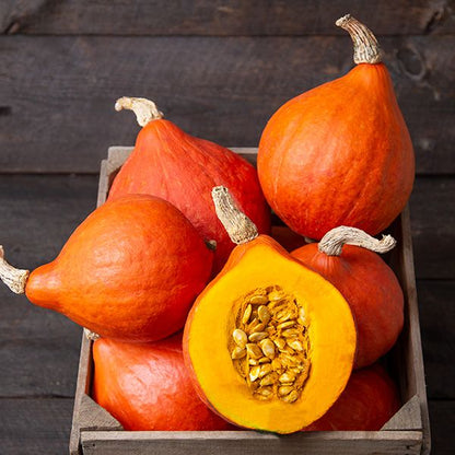 Red Kuri Winter Squash assortment in a wooden crate with a halved squash showing seeds and orange flesh on Tampa Home & Garden Store