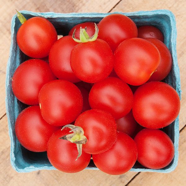Peacevine Cherry Tomato red cherry tomatoes in a blue carton on a wooden surface on Tampa Home & Garden Store