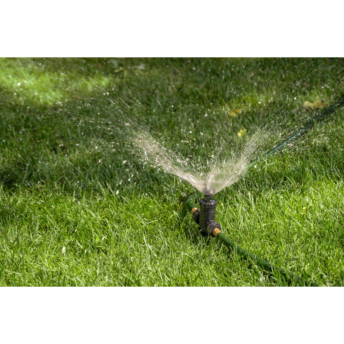 Adjustable Pattern Spot Sprinkler on Spike Kit 29808 black hose-end sprinkler Orbit Irrigation watering lawn on Tampa Home & Garden Store