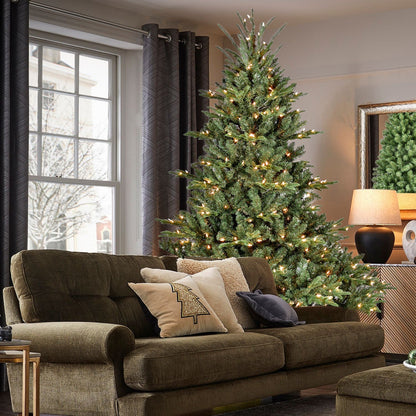 5FT Full-Bodied Pre-Lit Evergreen Christmas Tree, green artificial pine, warm white lights on Tampa Home & Garden Store
