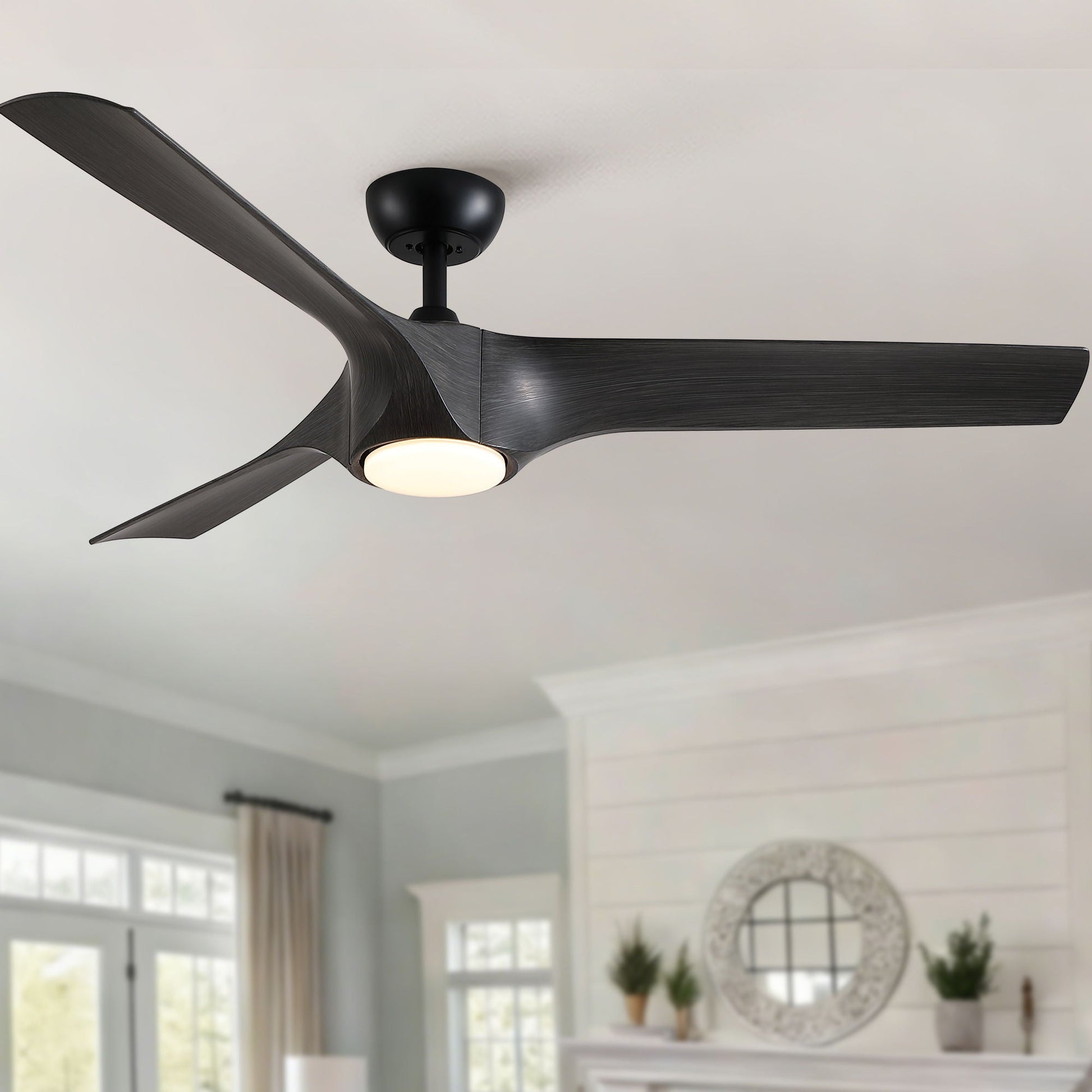 Ceiling fan with reversible quiet motor and ABS blades in dark espresso finish with built-in light on Tampa Home & Garden Store