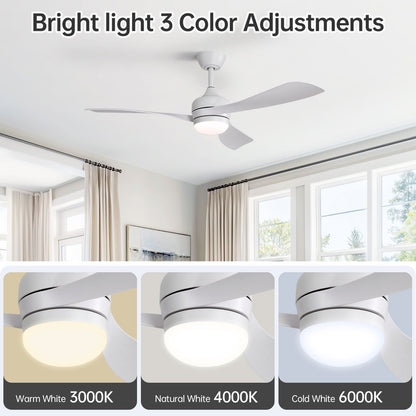 Ceiling fan by HouseOfZazla with reversible DC motor and remote, white finish and LED light on Tampa Home & Garden Store