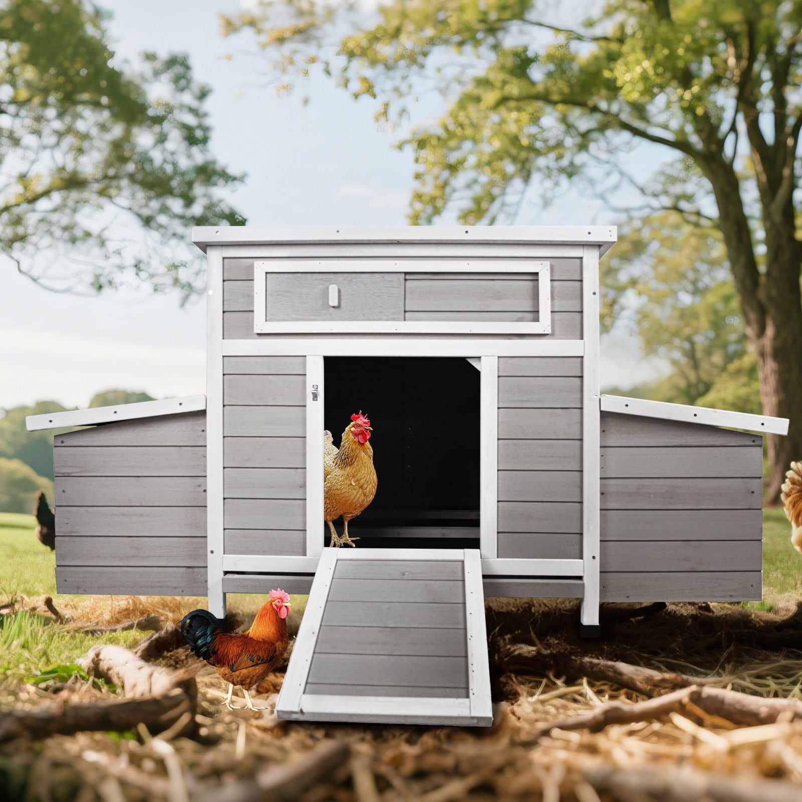 Large chicken coop with dual nesting boxes gray wood and white trim ramp roosters outside on Tampa Home & Garden Store