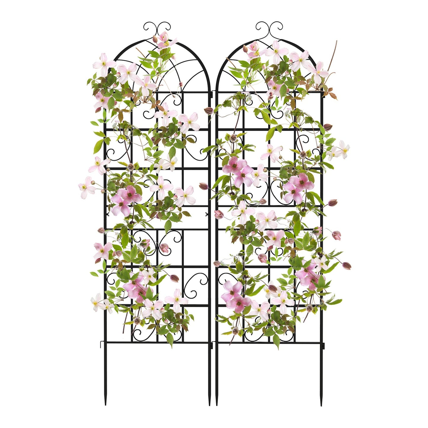 2/4 Pack 71 x 20 Inch Metal Garden Trellis for Climbing Plants