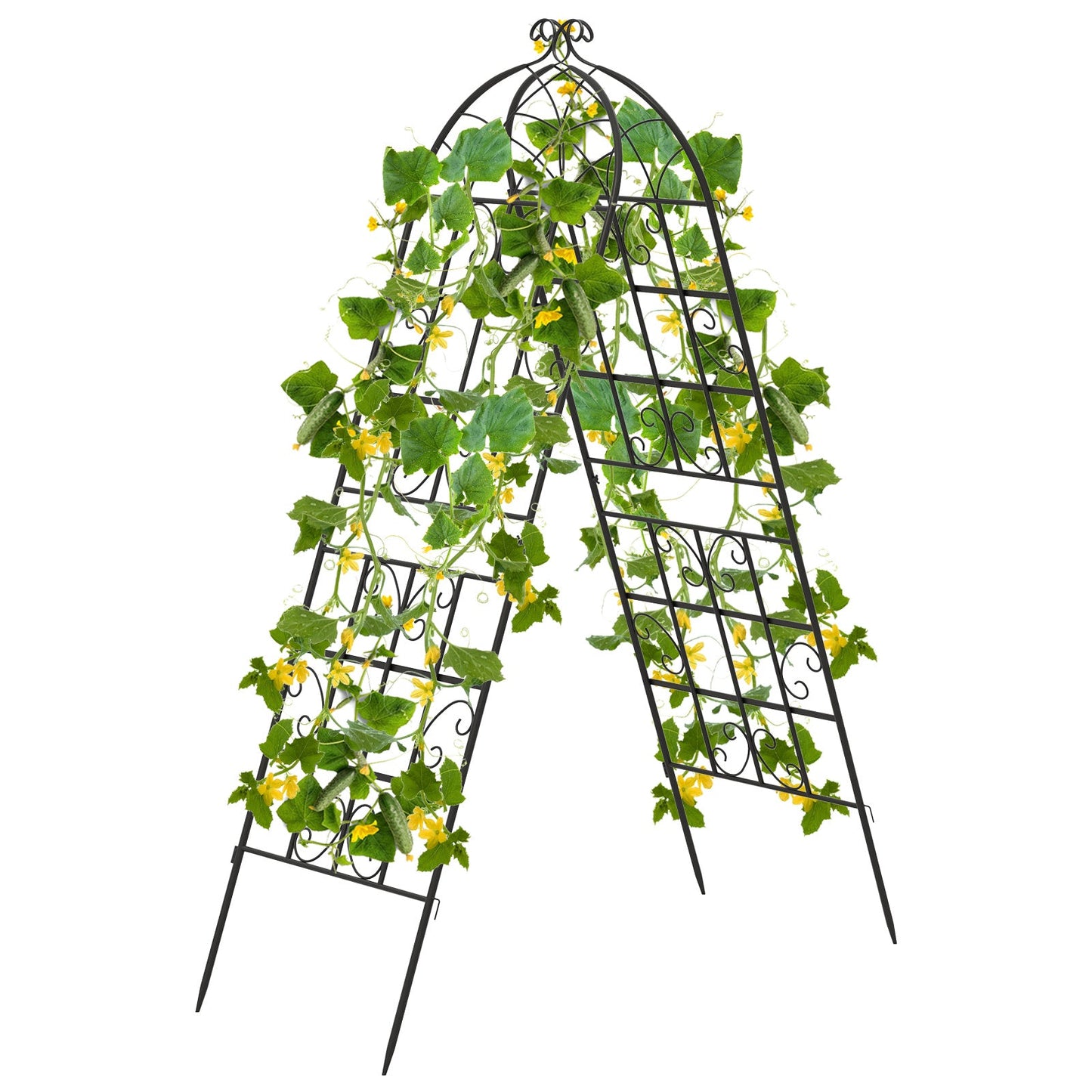2/4 Pack 71 x 20 Inch Metal Garden Trellis for Climbing Plants