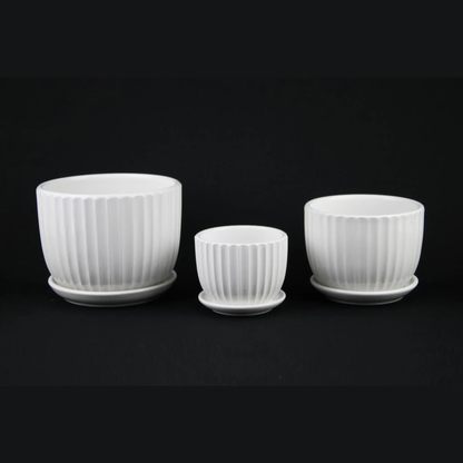 3-Piece white ceramic planter set with fluted texture and matching saucers Florinia on Tampa Home & Garden Store