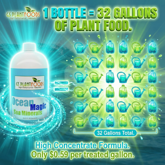 Ocean Magic Sea Minerals fertilizer bottle by GS Plant Foods with 32 Gallons Total label on Tampa Home & Garden Store