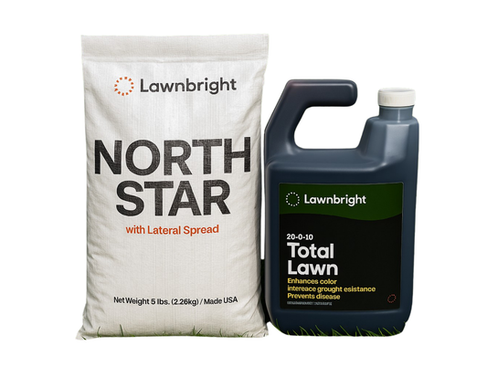 Lesco Grass Seed Lesco Seed | Shade, Sun, Fescue – Tampa